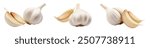 Garlic bulb and clove isolated. Garlic bulbs with cloves on white background. White garlic bulb composition. With clipping path. Full depth of field.