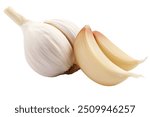 Garlic bulb and clove isolated. Garlic bulbs with cloves on white background. White garlic bulb composition. With clipping path. Full depth of field.