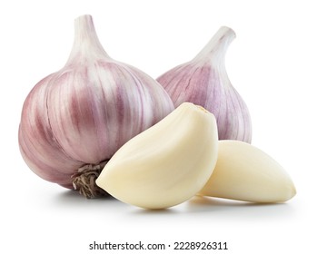 Garlic bulb and clove isolated. Garlic bulbs with cloves on white background. Garlic bulb composition. With clipping path. Full depth of field.