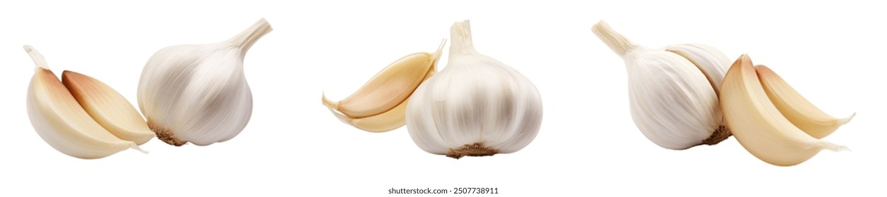 Garlic bulb and clove isolated. Garlic bulbs with cloves on white background. White garlic bulb composition. With clipping path. Full depth of field.