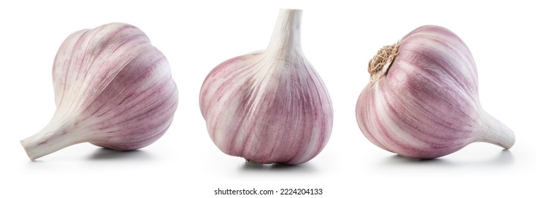Garlic bulb isolated. Garlic on white background. Purple garlic bulb collection. Set with clipping path. - Shutterstock ID 2224204133