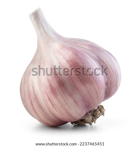 Garlic bulb isolated. Garlic bulb on white background. Unpeeled garlic bulb with clipping path. Full depth of field.
