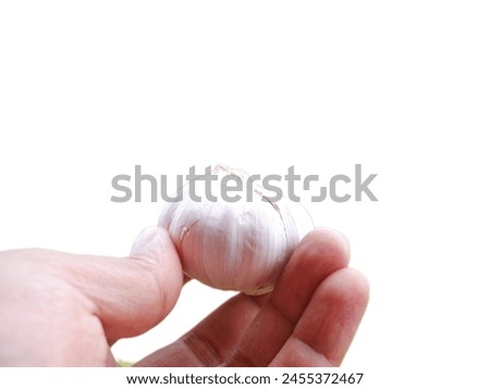 Similar – Image, Stock Photo Snail rescue operation!