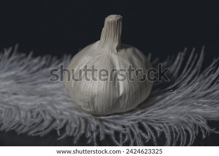 garlic bulbous plant with a pungent odor photographed against a dark background
