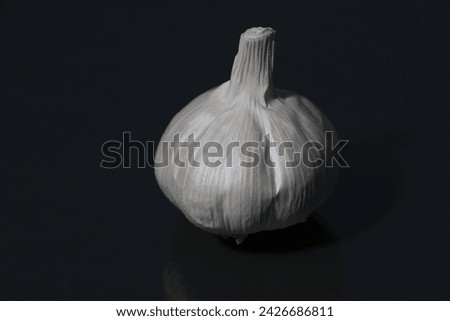 garlic bulbous plant with a pungent odor photographed against a dark background