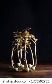 Garlic Bulbs With Dry Leaves Upright On Wooden Board, Black Background, Negative Space, Portrait Orientation