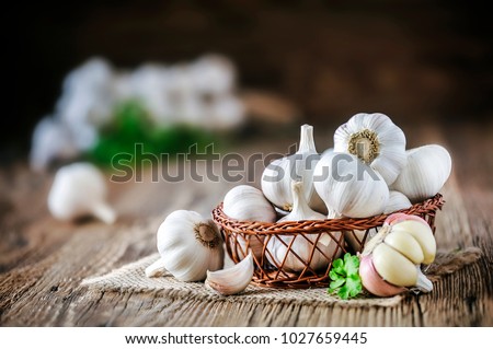 Garlic bulbs in wooden basket on rustic old table. Fresh gralic cloves. Pile of garlic on jute.