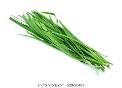 Garlic chives on white background - Shutterstock ID 520920481