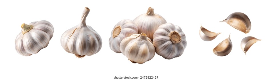 Garlic, Garlic clove and bulb flying in the air isolated on white background