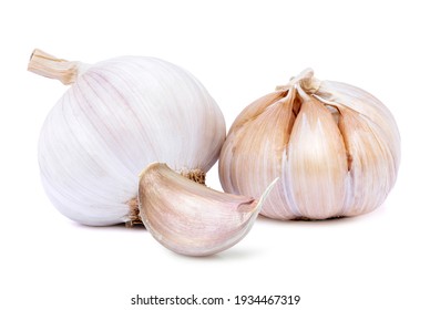 Garlic Clove And Bulb Isolated On White Background.