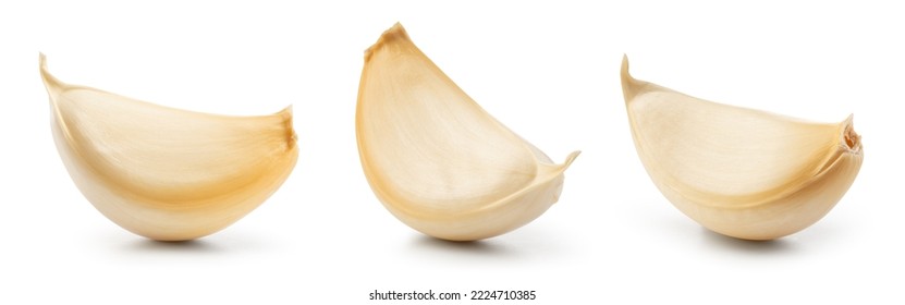 Garlic clove isolated. Garlic cloves set on white background. Unpeeled white garlic cloves collection. With clipping path. Full depth of field.