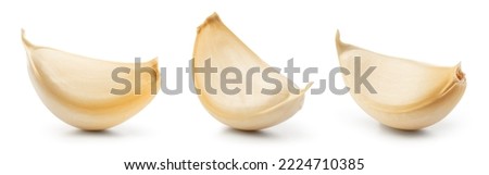 Garlic clove isolated. Garlic cloves set on white background. Unpeeled white garlic cloves collection. With clipping path. Full depth of field.