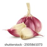 Garlic and garlic cloves isolated on white background.