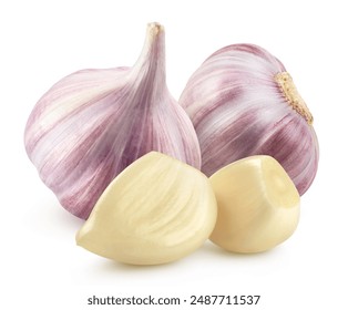 Garlic and garlic cloves isolated on white background.