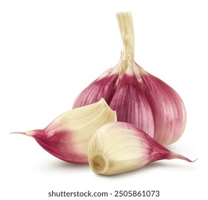 Garlic and garlic cloves isolated on white background.