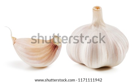 Garlic collection Isolated on white background Clipping Path