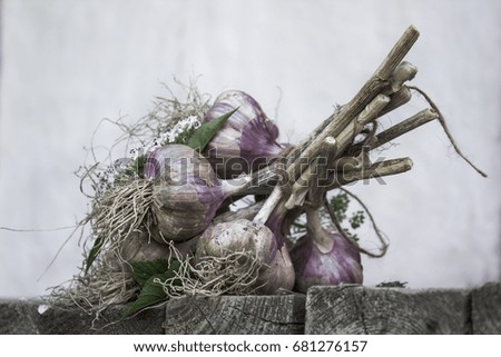 Similar – Foto Bild Natürliche Knoblauch auf Holzuntergrund