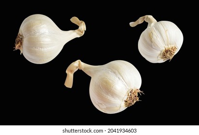 Garlic Isolated, Cooking Ingredient In Black Background, No Shadow, Clipping Path