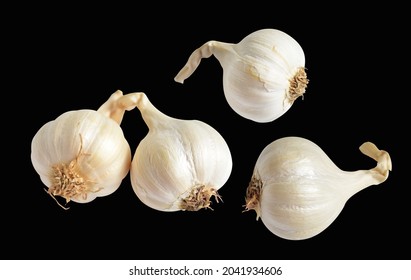 Garlic Isolated, Cooking Ingredient In Black Background, No Shadow, Clipping Path