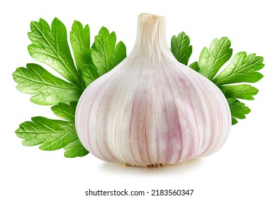 Garlic. Garlic isolated on white background. Garlic clipping path. Garlic macro studio photo - Shutterstock ID 2183560347