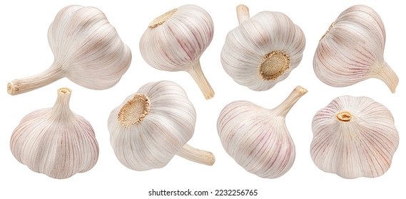 Garlic isolated on white background, collection - Shutterstock ID 2232256765