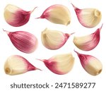 Garlic isolated set. Collection of garlic cloves on a white background, from different angles.