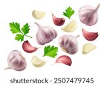 Garlic isolated set. Collection of garlic, garlic cloves and parsley leaves on white background.