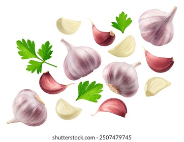 Garlic isolated set. Collection of garlic, garlic cloves and parsley leaves on white background.