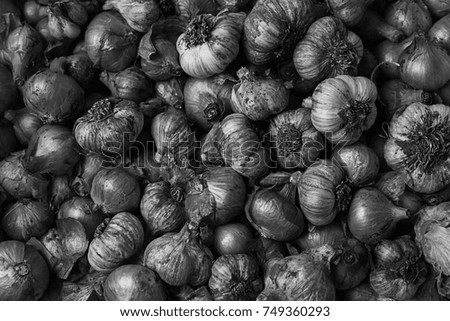 Image, Stock Photo Lots of blueberries Food