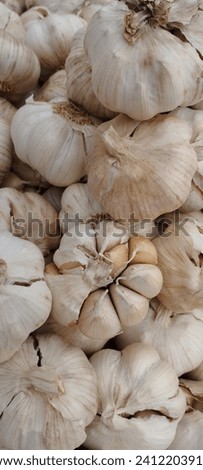 Garlic, a member of the Allium family, is a pungent bulb known for its distinctive flavor. With a rich history in various cuisines and medicinal practices, it adds depth to dishes and is celebrated fo