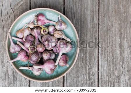 Garlic on ceramic plate. Grey wooden background. Top view.