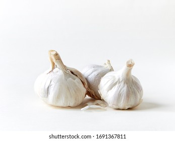 Garlic On White Infinity Cove Background