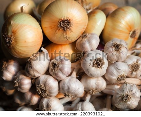 Garlic and onion. Wreaths. Rich harvest. Agriculture and farming.