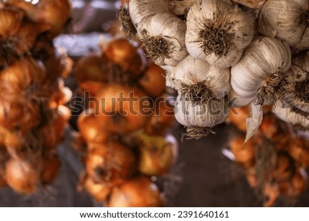Garlic and onion. Wreaths. Rich harvest. Agriculture and farming