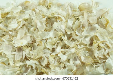 Garlic peeled skin isolated on white background