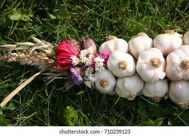 Garlic Plait