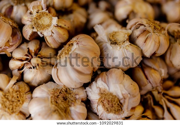 Garlic raw in Madeira. Garlic plant's bulb is the most
commonly used part of the plant. With the exception of the single
clove types, garlic bulbs are normally divided into numerous fleshy
sections c