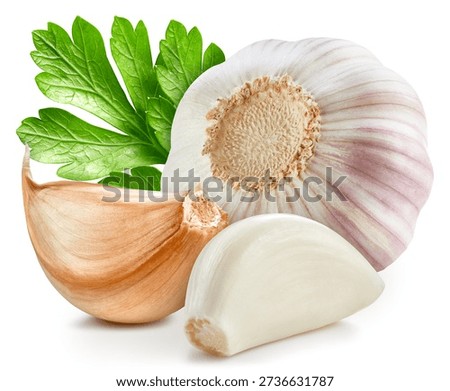Garlic vegetable with leaves isolate. Garlic bulb on white. Garlic clipping path. 