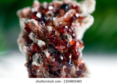 Garnet  Mineral Specimen Stone Rock Geology Gem Crystal