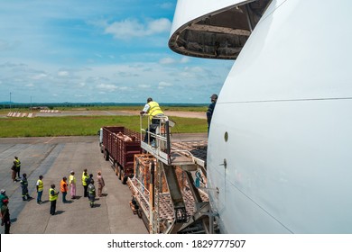 Garoua, Cameroon - October 3rd 2020: Livestock In Wooden Boxes Secured By Nettings Being Offloaded By A High-loader From A Jumbo Jet With A Wide Open Cargo Door At The Front Of The Plane