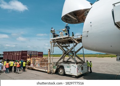 Garoua, Cameroon - October 3rd 2020: Livestock In Wooden Boxes Secured By Nettings Being Offloaded By A High-loader From A Jumbo Jet With A Wide Open Cargo Door At The Front Of The Plane