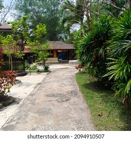 Garut Regency. In Local Zoo. At Summer In Indonesia.