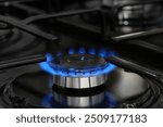 Gas blue flame. Gas stove on black background. Natural gas inflammation in stove burner, close up view.