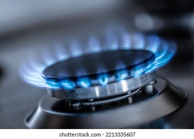 The Gas Burner Burns With The Blue Flame Of A Propane Butane Stove In A Home Kitchen Or Hotel Restaurant.