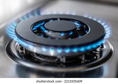 The Gas Burner Burns With The Blue Flame Of A Propane Butane Stove In A Home Kitchen Or Hotel Restaurant.