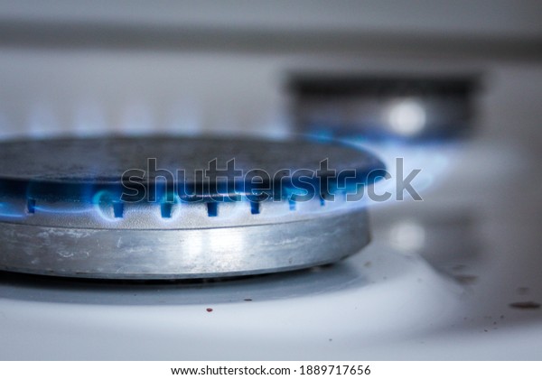 Gas burner in the\
stove with burning fire