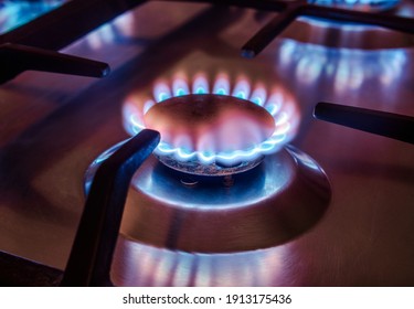 The gas burns in the burner of a kitchen stove
 - Shutterstock ID 1913175436