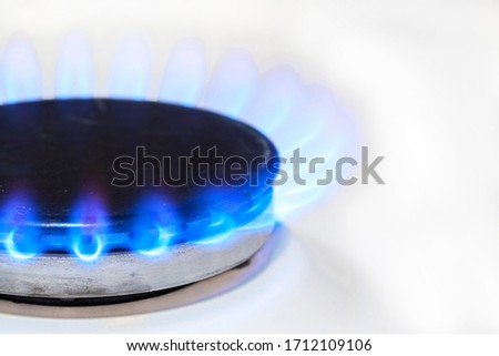 Gas burns in the white gas stove burner. Blue fire burning natural gas.