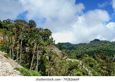 Gas Exploration Clearing In A Highland Jungle In Papua New Guinea