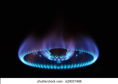 Gas Fire